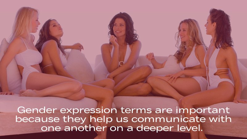 1 - Some Gender Expression Terms to Know