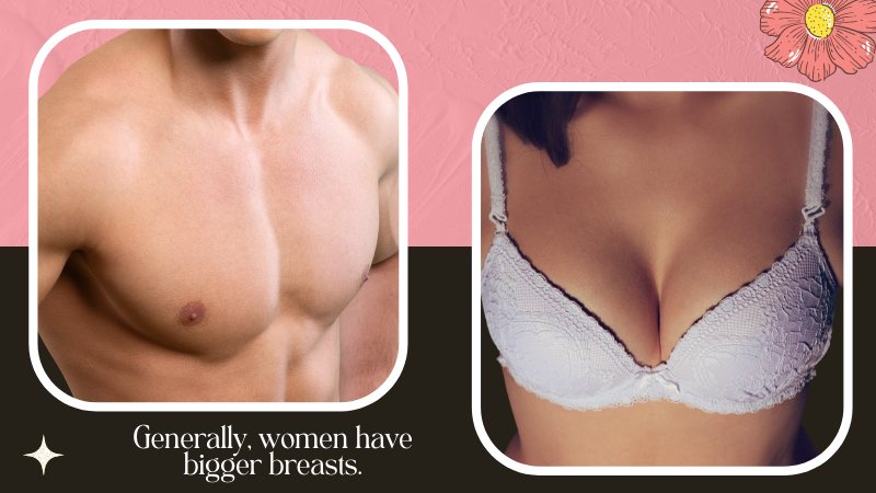 Crossdressing Hacks to Show off Your Best Female Features