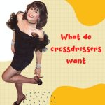 What Do Crossdressers Want?