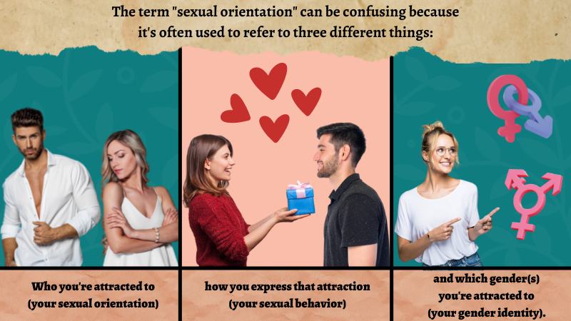 2-Sexual orientation vs gender identity for LGBT individuals