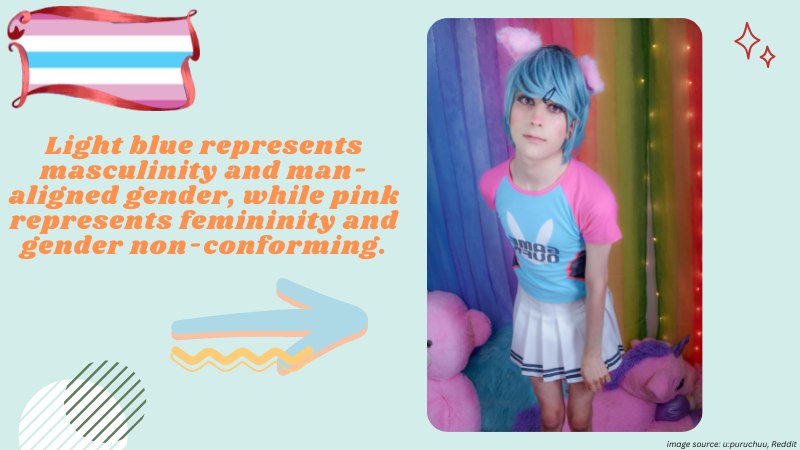 Roanyer Blog - The Femboy Flag: Symbol of Pride and Unity