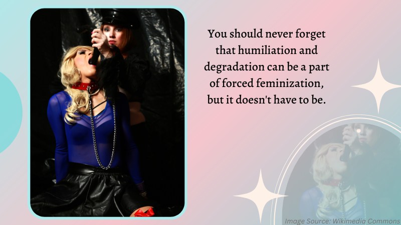 Roanyer Blog 11 Misconceptions About Forced Feminization