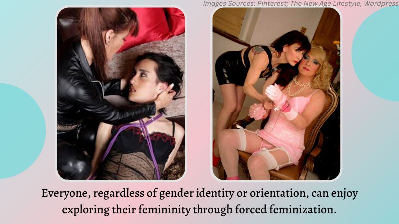 Roanyer Blog 11 Misconceptions About Forced Feminization