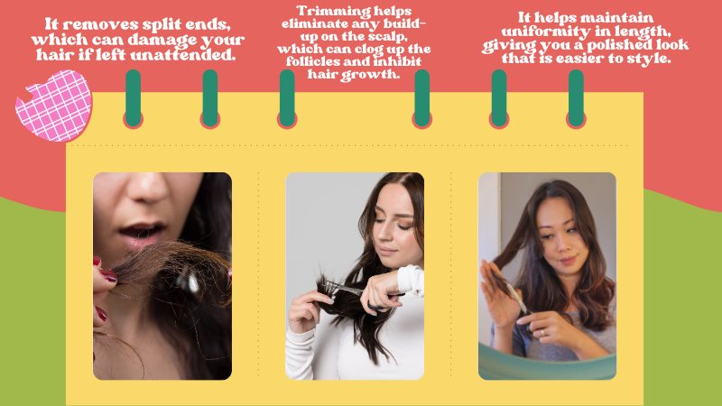 Mtf Hair Growth: Tips for Full Feminine Hair