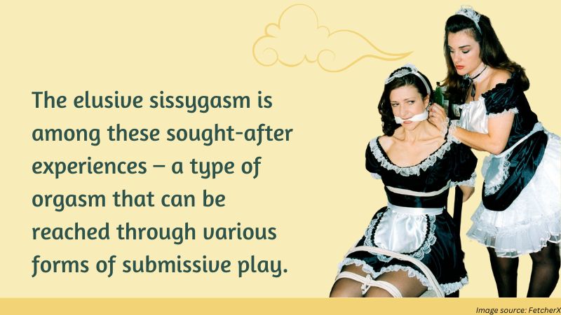 A Guide to the Elusive Sissygasm