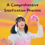 A Comprehensive Sissification Process