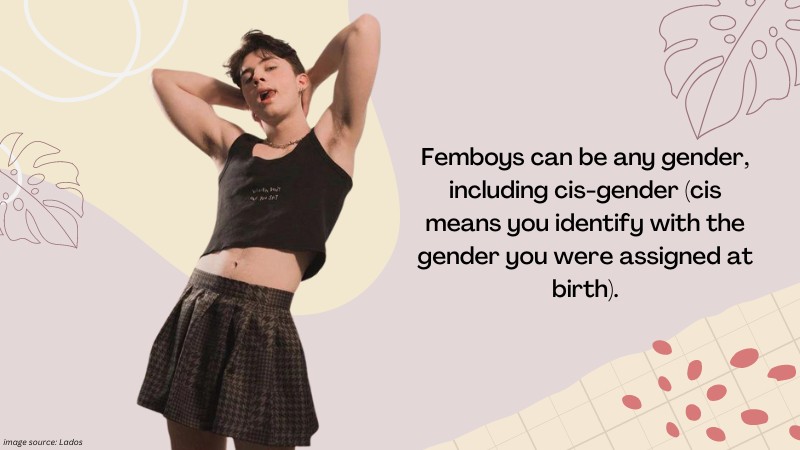 Breaking down the Myths and Stereotypes About Femboys