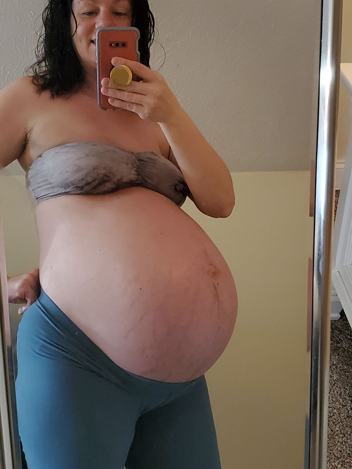 The enormous twin pregnancy belly