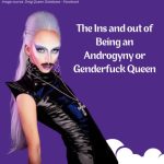 The Ins and out of Being an Androgyny or Genderfuck Queen