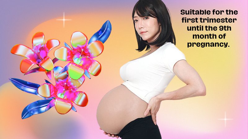 Roanyer Fake Pregnant Belly