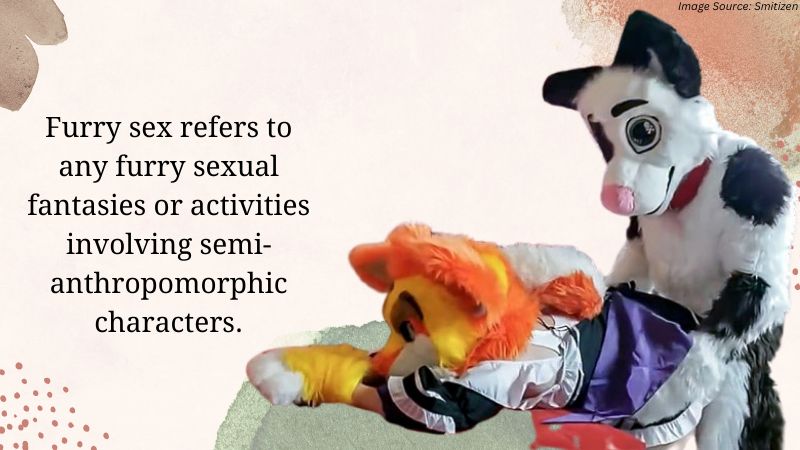 Furry-sex-The-world-of-furry-fandom