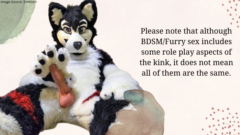 Furry-sex-The-world-of-furry-fandom