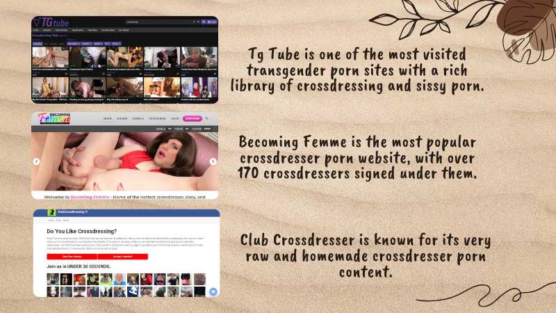 Exploring the World of Crossdressing Porn