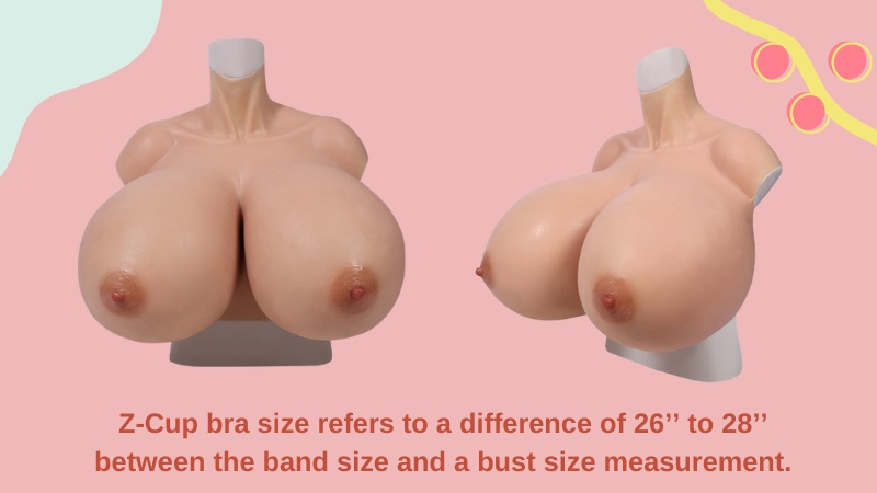 Z-Cup Bra Size Plus Muscle Suits Combo for Crossdresses and Mastectomy Patients