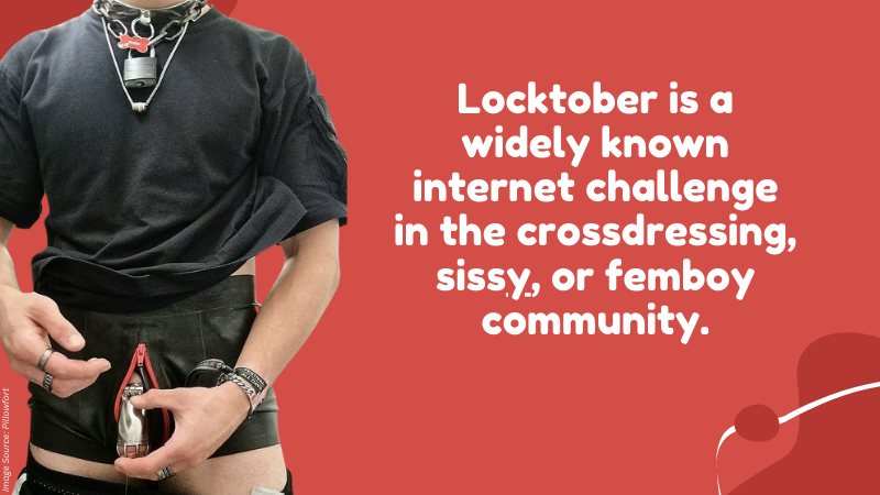 Locktober 2025 Chastity Cage Guide:My First-Time Journey & Tips for Beginners
