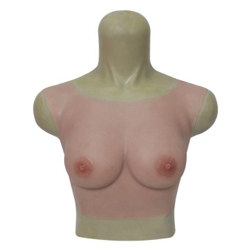 B Cup Breasts Round Collar