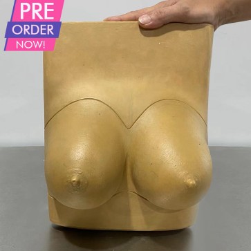 Pre-order C Cup Tube Top Breast Form