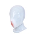 Fake Vagina Silicone Mask