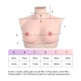 D Cup Breasts large Size