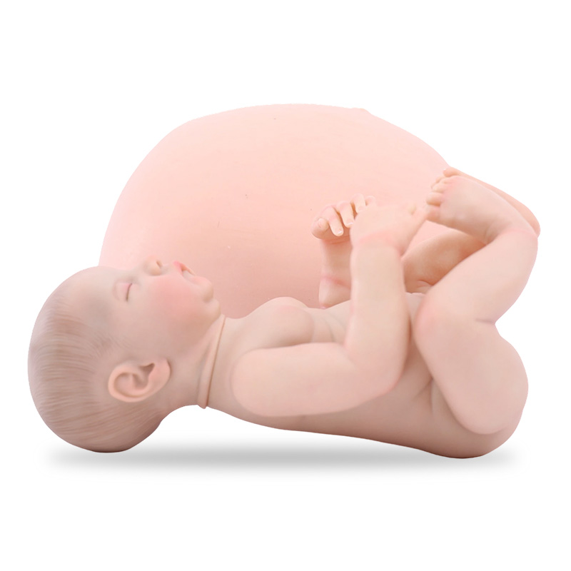 Silicone Pregnant Belly – Baby Inside Model