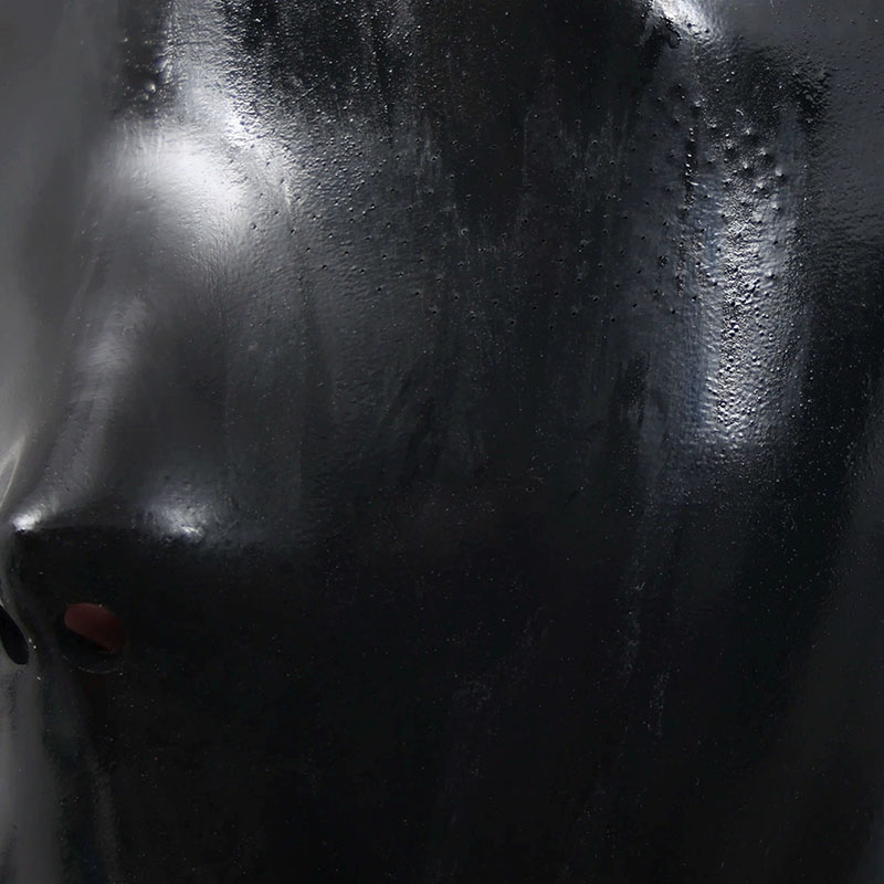 Glossy Silicone Full-Face Hood